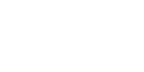 Biiig Academy logo – client partner of Incepty