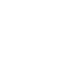 icons8-wordpress-96